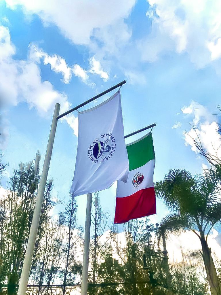 Asilo de ancianos y residencia para adultos mayores 80